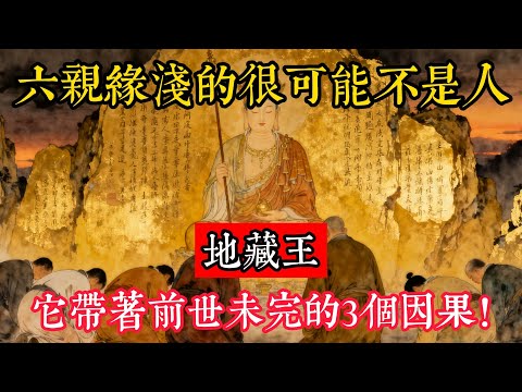 六親緣淺的很可能不是人,地藏王:它帶著前世未完的3個因果!#立地成佛#念佛修行#因果正見#修行障礙化解#生死因果#佛学#佛教