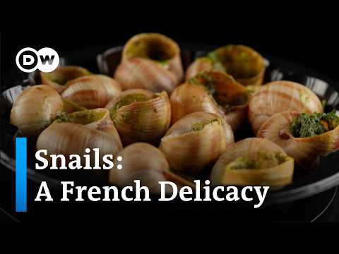 Escargot: Why snails are a popular specialty in France