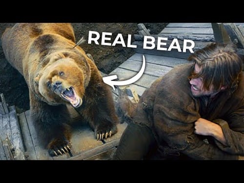 The Art of Bear Acting