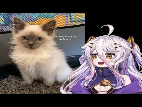 Henya reacts to daily dose of internet #5