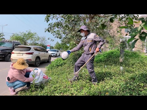 HUE city apartment complex surprised when grass growing on the opposite sidewalk was cleared