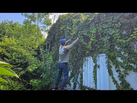 He Lost His Wife… Then the Yard Took Over