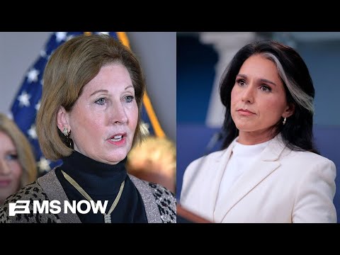 Tulsi Gabbard working on the Sidney Powell theory, says investigative journalist