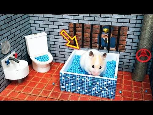 🐹Hamster Escapes from Prison Maze🐹