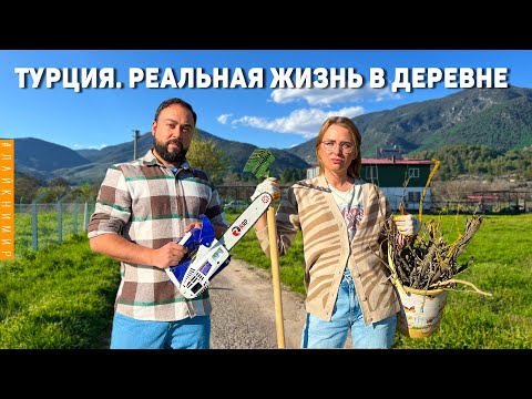 ТУРЦИЯ. Сняли ДОМ В ДЕРЕВНЕ и ПОЖАЛЕЛИ..!! Реальная Жизнь в деревне! Дом в селе. Хутор Турция 2023
