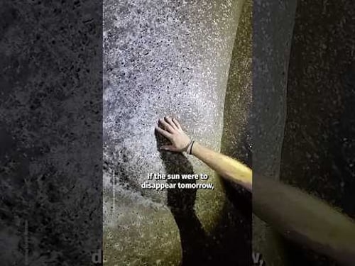 World’s Largest Spiderweb