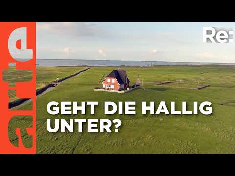 Die Halligen in Gefahr | ARTE Re: