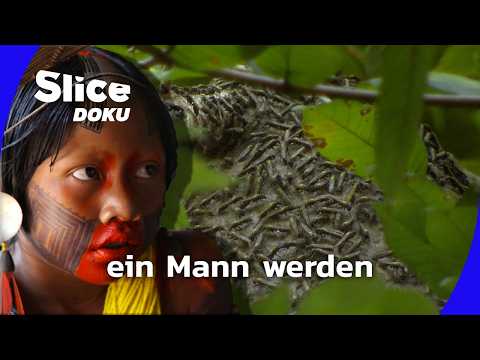 Kayapó: Mutprobe gegen die Waldwespen | SLICE Doku