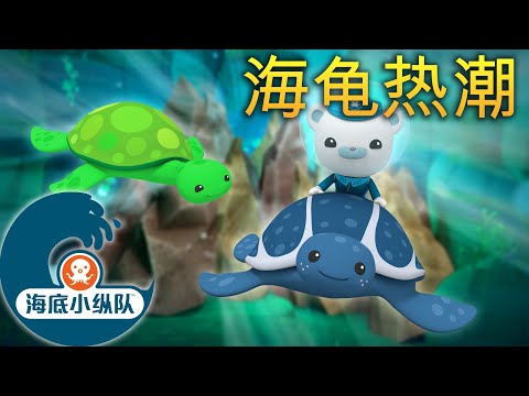海底小纵队 - 🐢 海龟热潮 🎉 | 合集 | 集完整版