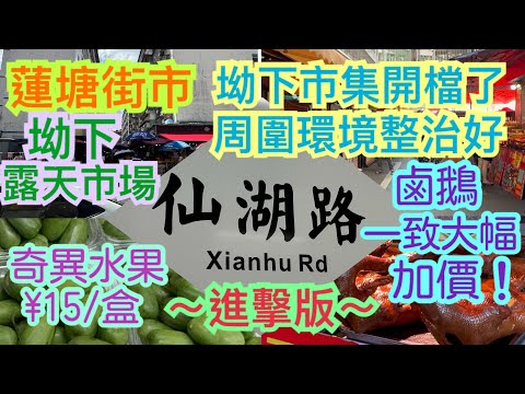 《食德走德》『深圳蓮塘』進擊的仙湖路!|點解加咁多?仲有冇人買?|坳下村的進化|值得去嗎?睇啱先出發~