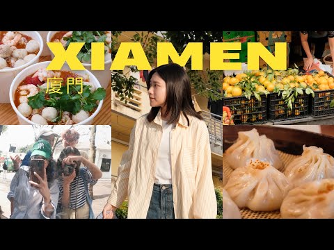 廈門Vlog🏝️五天四夜行程/鼓浪嶼/米其林必吃美食/集美學村/廈門咖啡廳/環島路/四合院民宿/漳州探親!