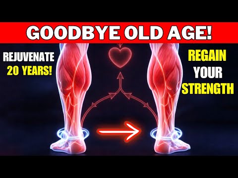 Doctor Warns: 6 Exercises That Prevent Muscle Loss That Steals Your Independence After 60