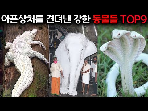 I was abandoned, but it's okay