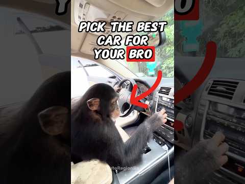 Pick the Best Car for Your Bro 🚗💪 #shorts #automobile #car #brother