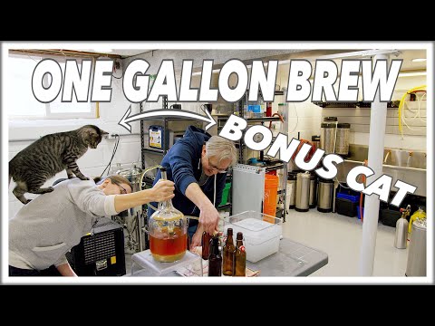 🍺 1 Gallon Of Beer - Your First HomeBrew Recipe @BrewHouse Glen & Friends Cooking