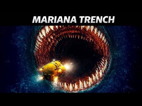 Mariana Trench: What Lives in Earth's Deepest Darkness?