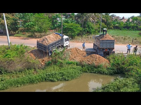 Dump Truck Dumping dropped soil Clearing flooded forest excellent Skill drive KOMATSU dozer working