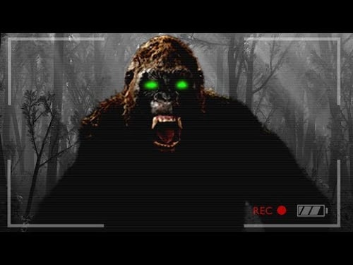 FINDING BIGFOOT & MISSING PEOPLE!! (Finding Bigfoot Game)
