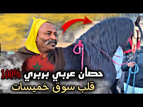 بدريس قلب سوق خميسات بعود دهم بلوراق ديالوا 😱 وشوفوا أتمنة الخيول في سوق خميسات