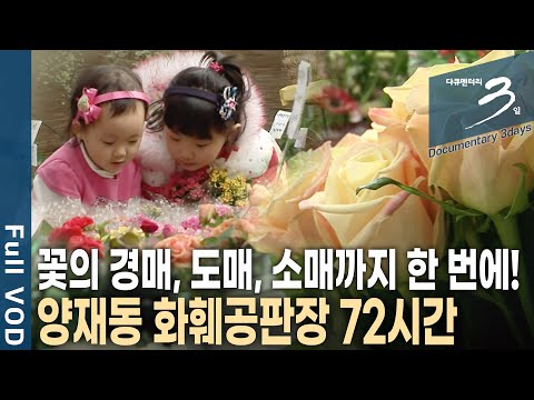 밤잠도 잊은 채 바쁜 곳! 행복 바이러스가 가득한 곳! 꽃에 웃고 꽃에 울었던 양재동 화훼공판장 72시간 | 다큐 3일 | KBS 20220116 방송