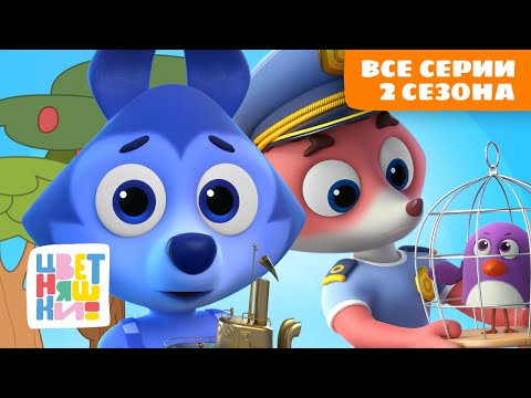 Мультики для детей Цветняшки | Весь 2 сезон ВСЕ СЕРИИ подряд | Сборник