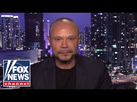 Dan Bongino: There's something about this story that's 'not right'
