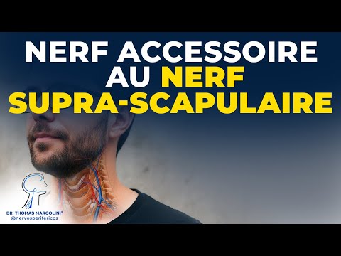 From Trapezius to Shoulder: How One Surgery Changed Everything