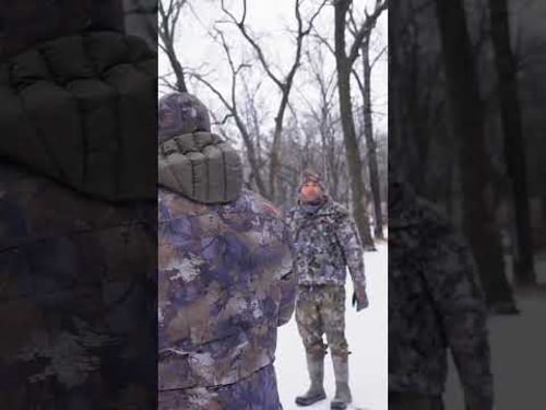 Did we just capture an exploding tree on camera!?