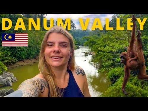 3 DAYS in 130 million-year-old JUNGLE IN BORNEO! (DANUM VALLEY PART 1)