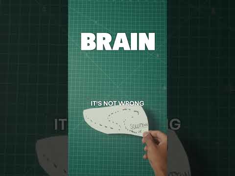 I Struggle With Making Decisions