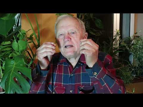 Исцеляющее земледелие, как создать идеальную плодородную почву.