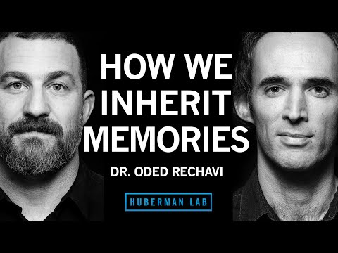 Genes & the Inheritance of Memories Across Generations | Dr. Oded Rechavi