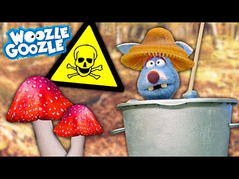 Welche Pilze kann man NICHT essen? 🍄⚠️ l WOOZLE GOOZLE