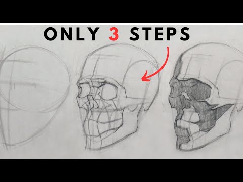 Master Skull Drawing with Measurement, Construction and Tone