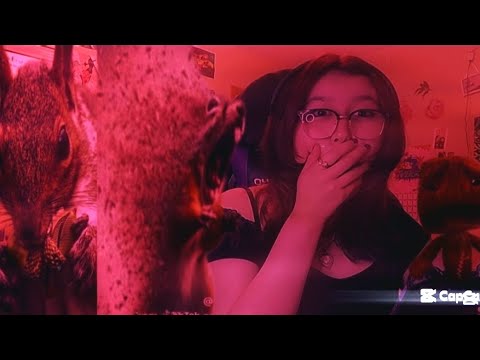 All Fun And Games Until the End Of The Video😨