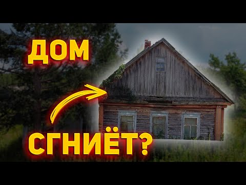 Как быстро сгниет дом из бруса 🏡 Сколько прослужит деревянный дом
