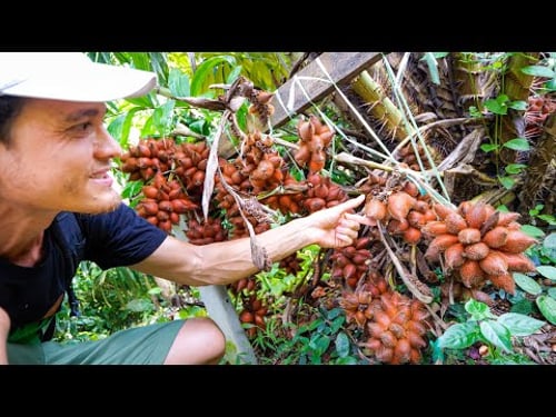Eating SNAKE FRUIT off the Tree!! 🌱 Natural Farm Tour in Phatthalung, Thailand!