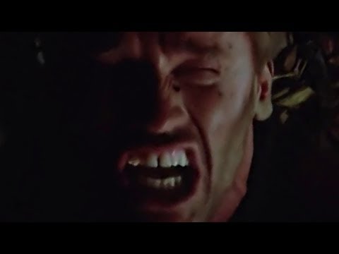 The Predator: An Unbridled Rage