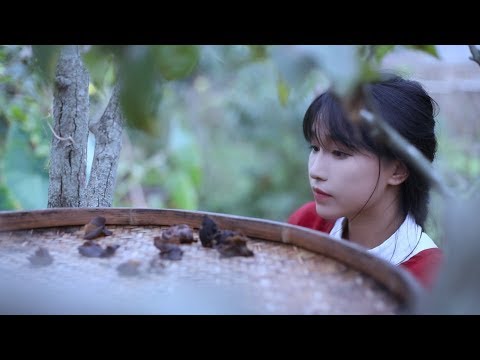 "The Life of ChiliPepper".Steamed fish head with chopped chili and broad noodles of chili oil.Liziqi