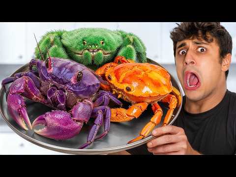 I Cooked Every EXOTIC Crab!
