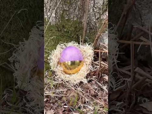 Happy Easter!! 🐣 🪿🦖 Chicken, goose and ostrich Easter eggs 😍