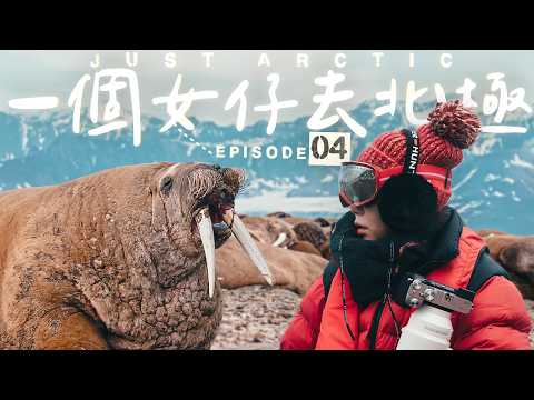 【🇳🇴北極】第一次踏上人類極少登陸嘅海岸線🚢 拍到BBC級數「百隻海象」震撼登陸畫面🤩|一個女仔去北極EP4|SVALBARD ARCTIC VLOG|RedisPolly