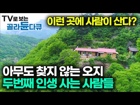 ✨한국기행 오지 속 은둔의 낙원 모음집🍀아무도 살지 않는 오지로 인생의 낙원을 찾아 떠난 사람들|첩첩산중 자발적 고립 생활기|#골라듄다큐