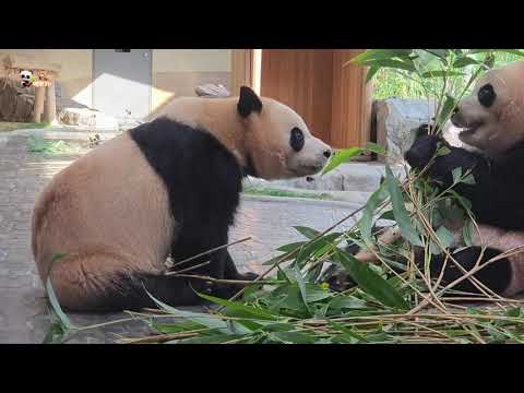 ๐20251201 ๐ฆ๋ฃจ์ดํ์ด ์ฒซ ์ผ์ธ์ธ์ฌํ๋ ๋ , ์ผ์ธ ์์ฑ์ด๋ ๋ฌ๋ฐ์ค, ์์ด๋ฐ์ค๐ฆ ๐ํ์+์ธํ ์ค์ ์์๐๐ผ๋ฌ๋ฐ์ค๐ผ์์ด๋ฐ์ค๐ฆ๋ ๋ชฌ๐ผ๋ฃจ์ด๋ฐ์ค๐ผํ์ด๋ฐ์ค๐ฆ๐