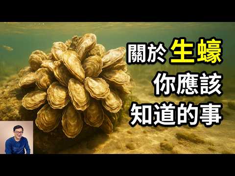 生蠔和牡蠣什麼區別?世界名蠔有哪些?作為美味海鮮竟對海洋生態如此重要!關於生蠔你應該知道的事……【老肉雜談】#生物 #動物 #海鮮 #牡蠣 #生蠔
