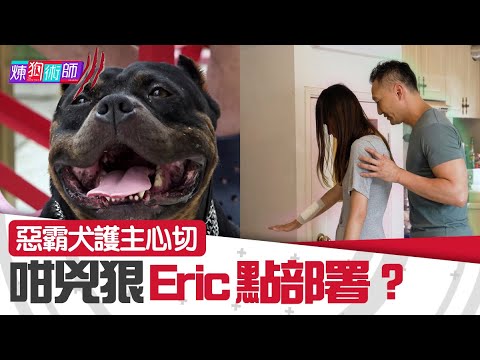 屈臣氏 Wats Petmacy 寵物藥妝呈獻:煉狗術師III|EP11 Part1|惡霸犬護主心切 咁兇狠Eric點部署? | Eric Ko | 鄺芷凡 |惡霸犬|HOY|HOYTV