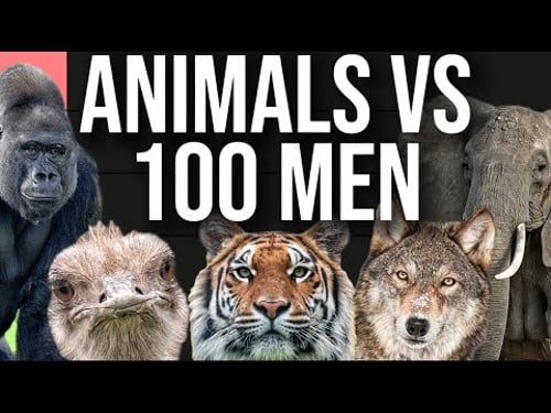 What Animals Can 100 People Actually Beat? (Tier List)