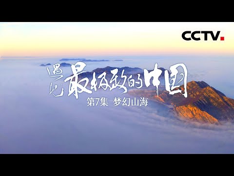 【ENGSUB】《遇见最极致的中国》第7集 跟随斑海豹探索中国最北的海域——渤海 见证天文大潮中最壮观的水鸟大聚会……【CCTV纪录】