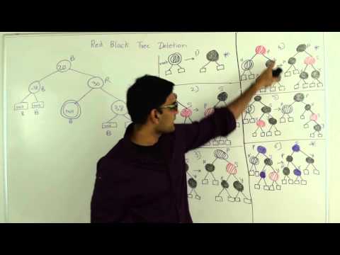 Red Black Tree Deletion