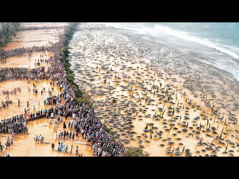 They Spilled Billions of Tons of Water into the Desert, a Year Later the Result Was Unexpected